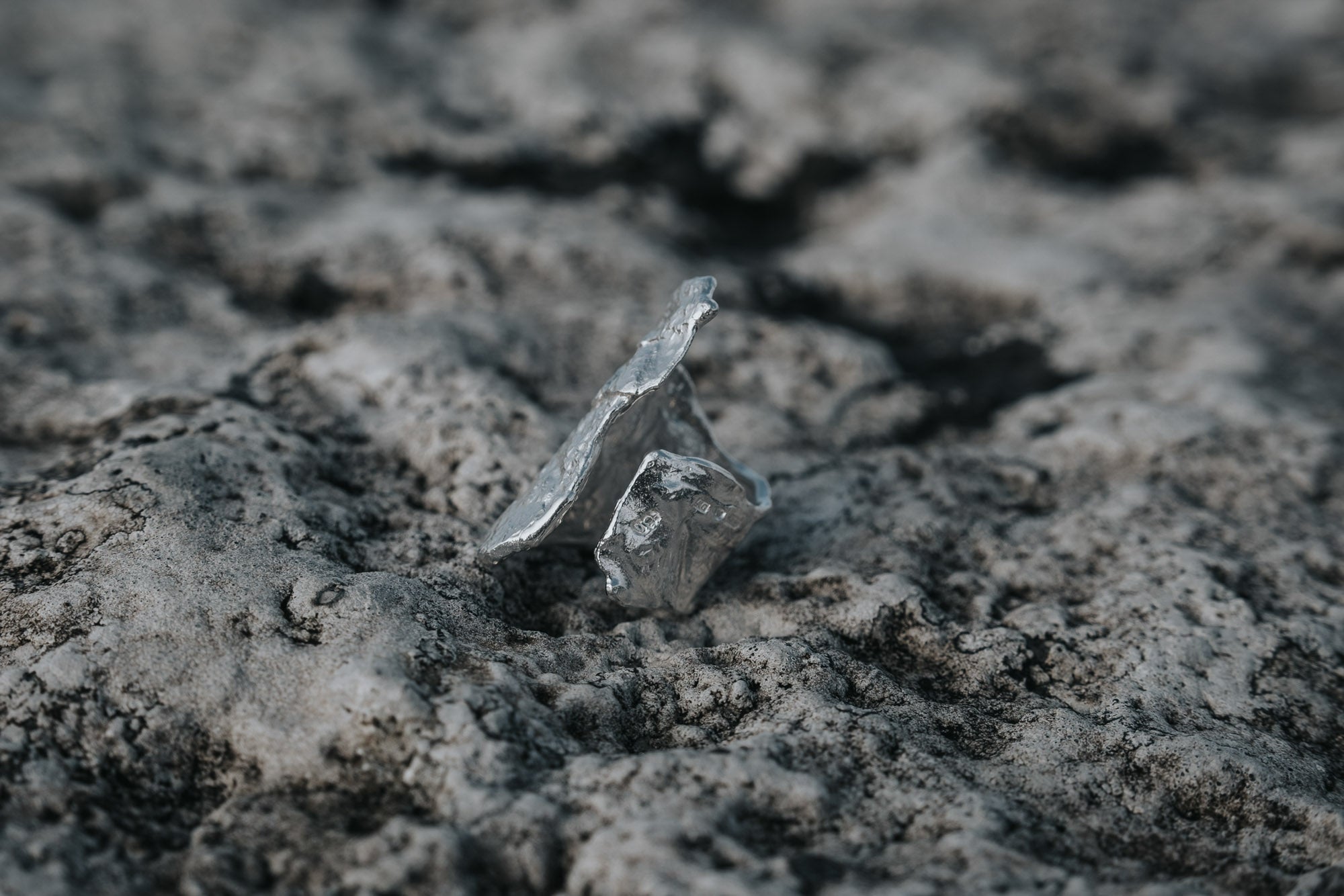 KARG ask på stenig yta i naturligt ljus