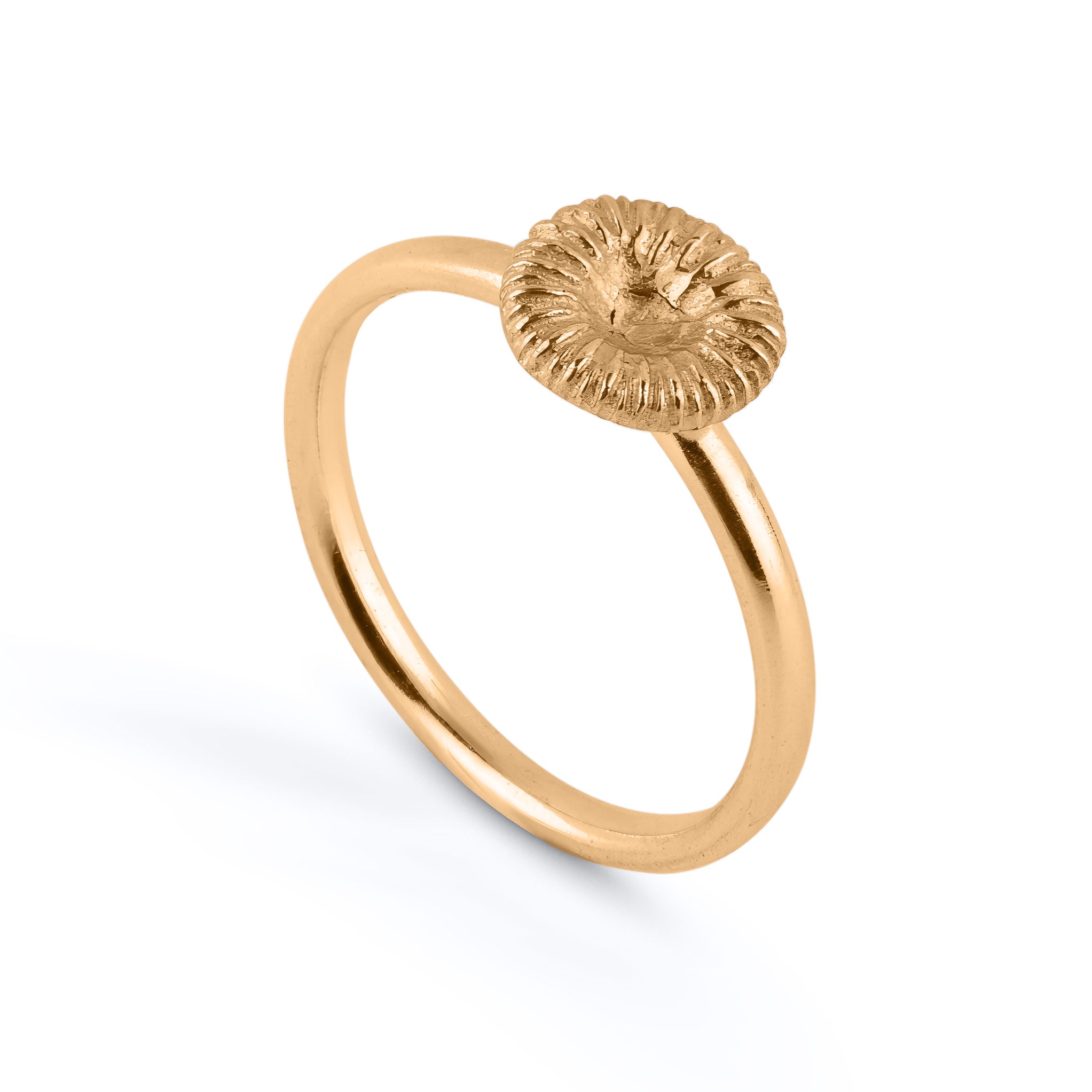 Knappkorall medium – Ring
